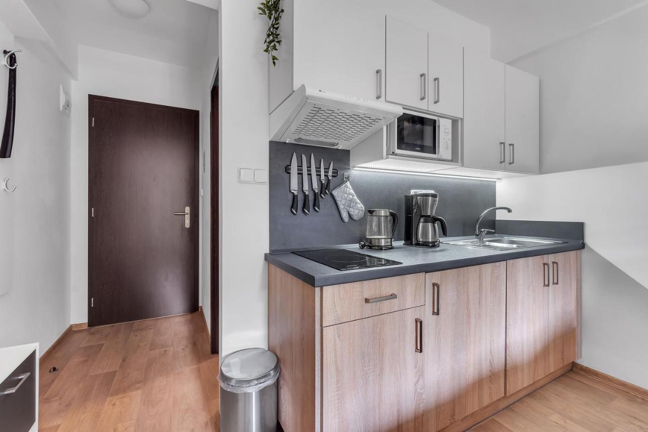Rezidence Rokytnice Rokytnice nad Jizerou Bagian luar foto